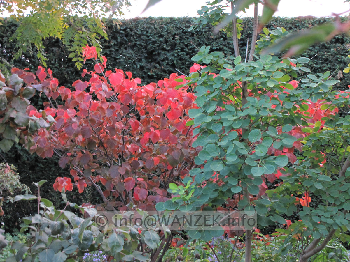 Stimmung Herbst 04.JPG